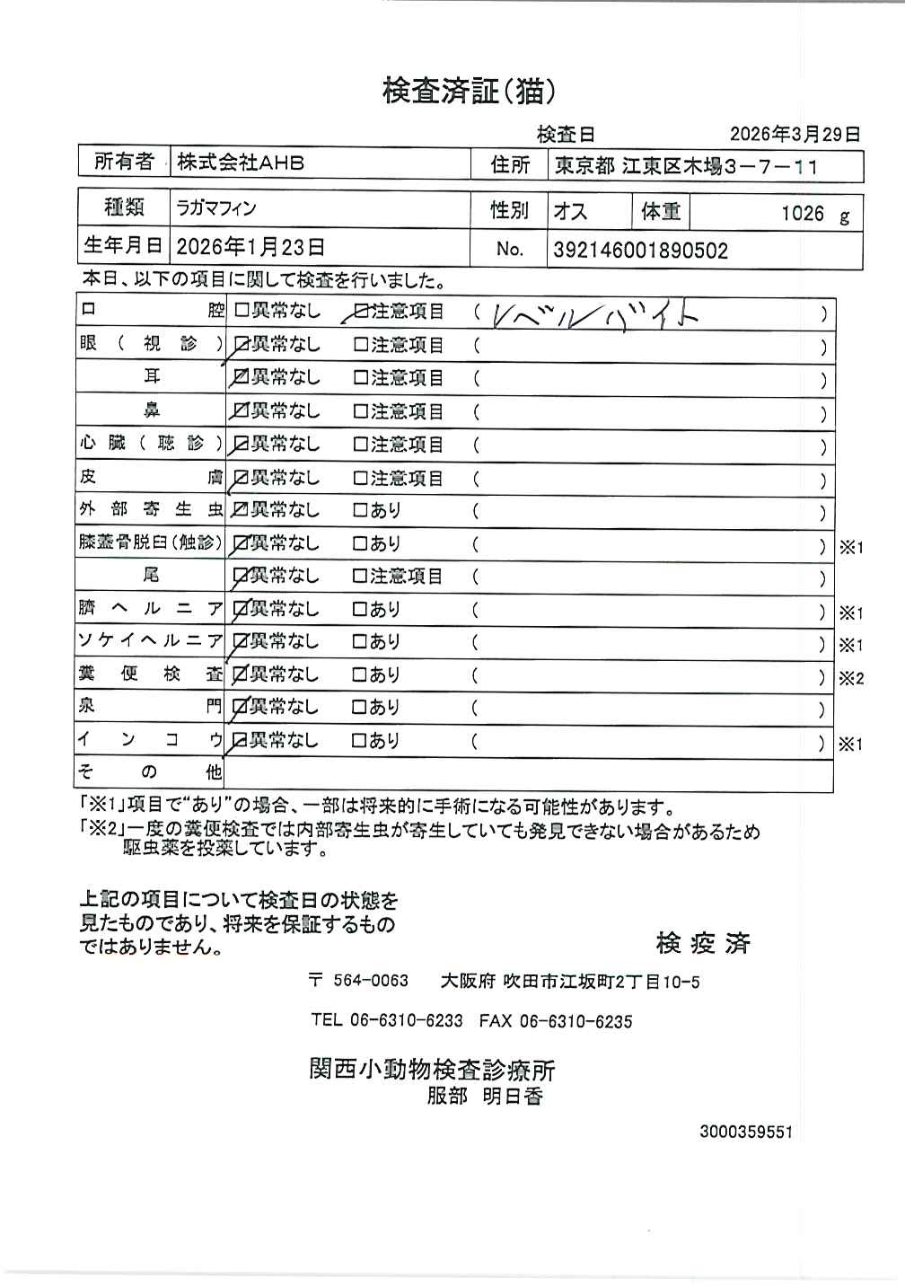 ラガマフィン