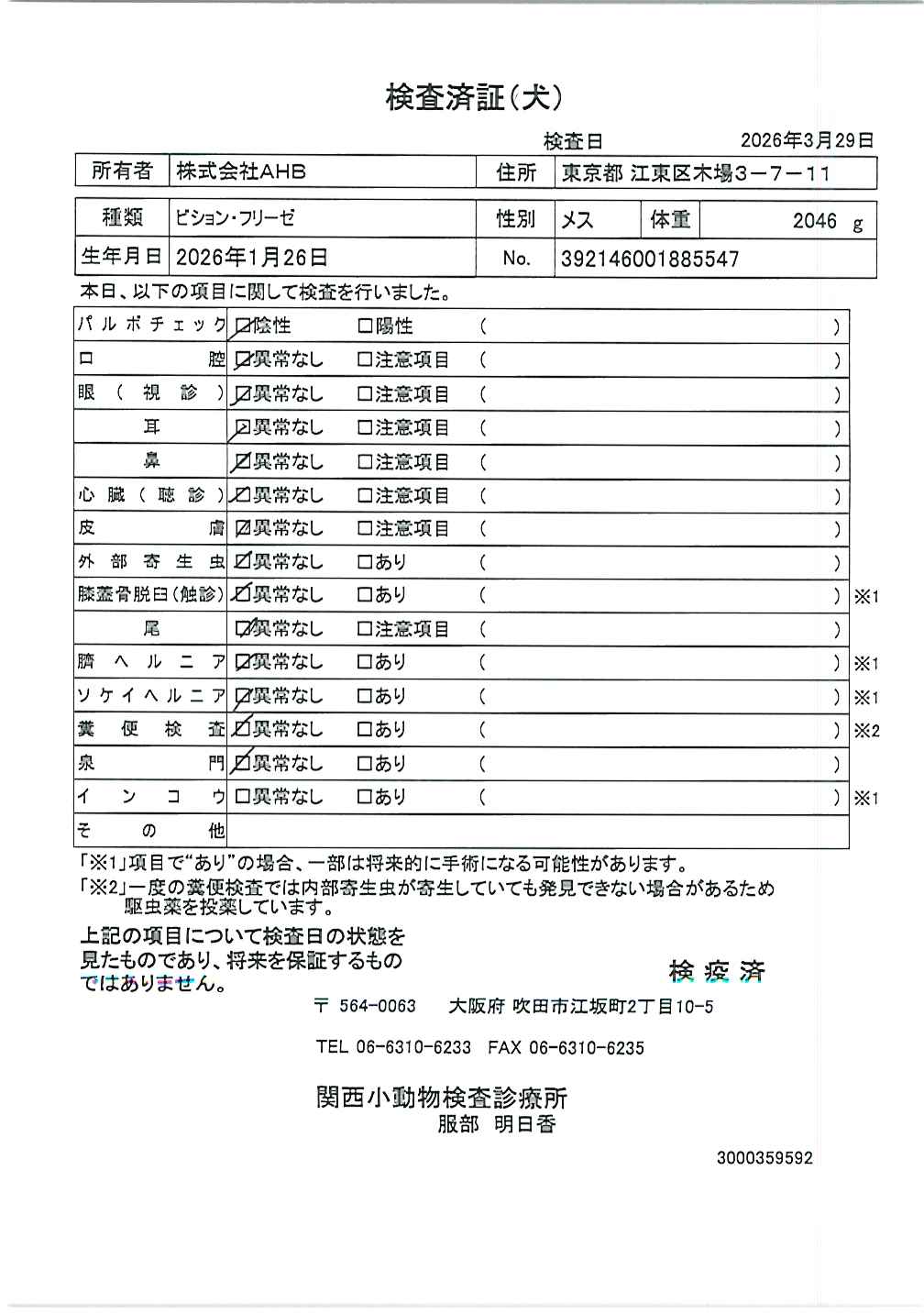 ビション・フリーゼ