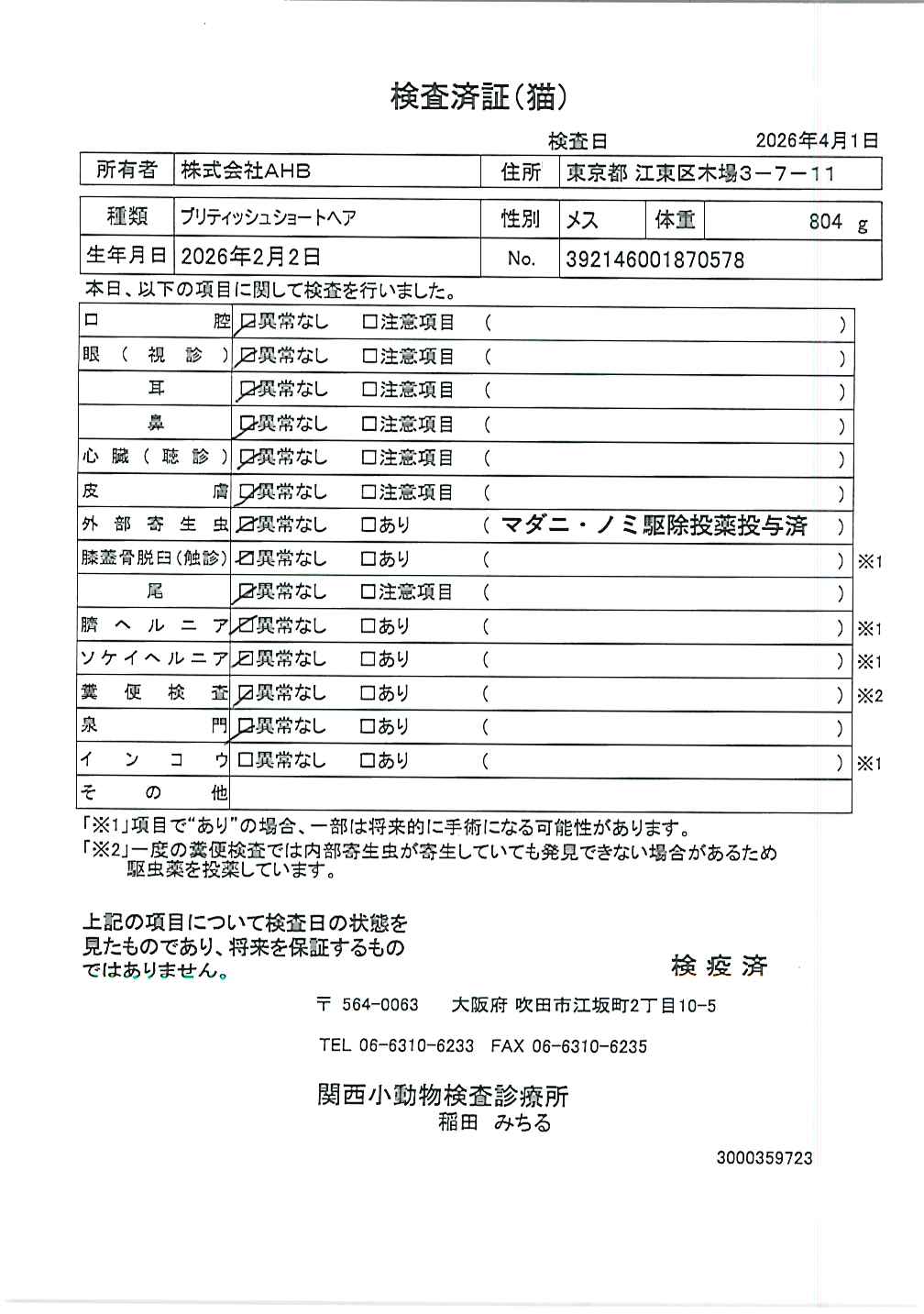 ブリティッシュショートヘア