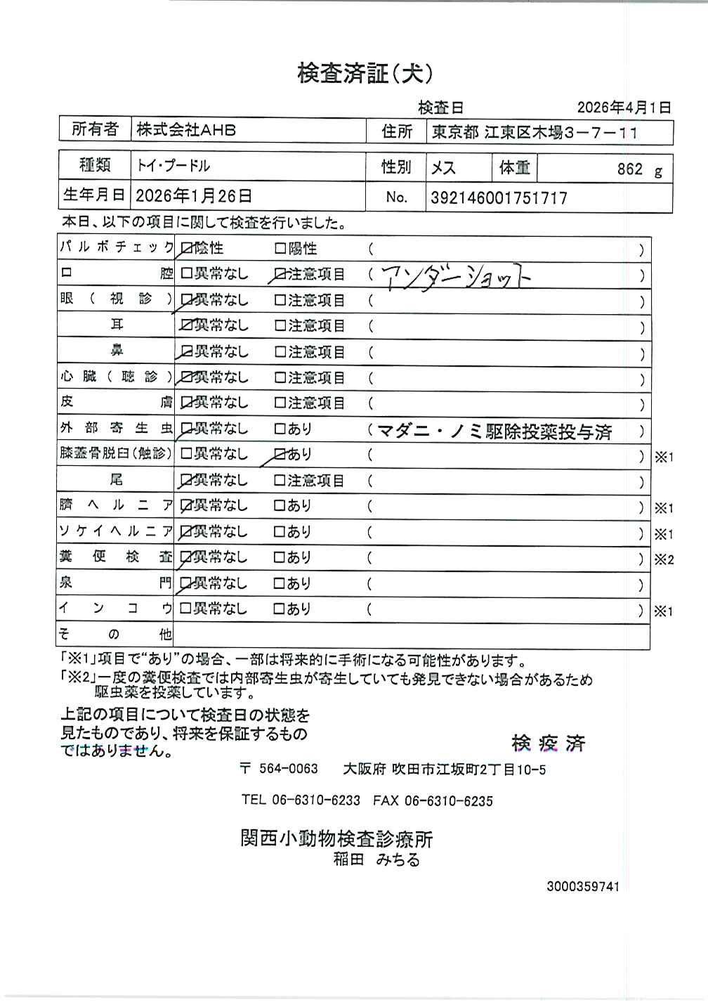 トイ・プードル
