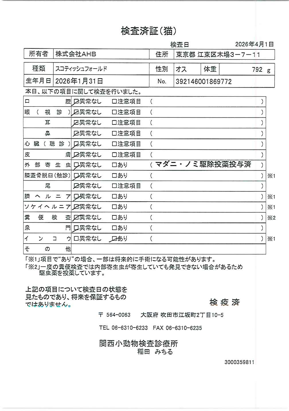 スコティッシュフォールド