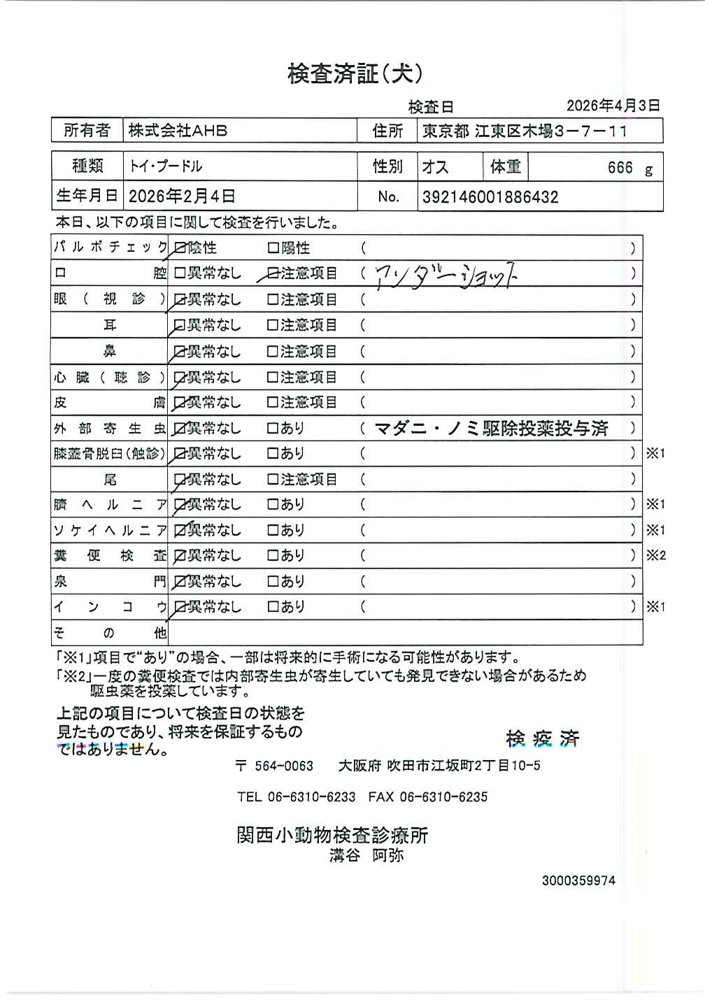 トイ・プードル