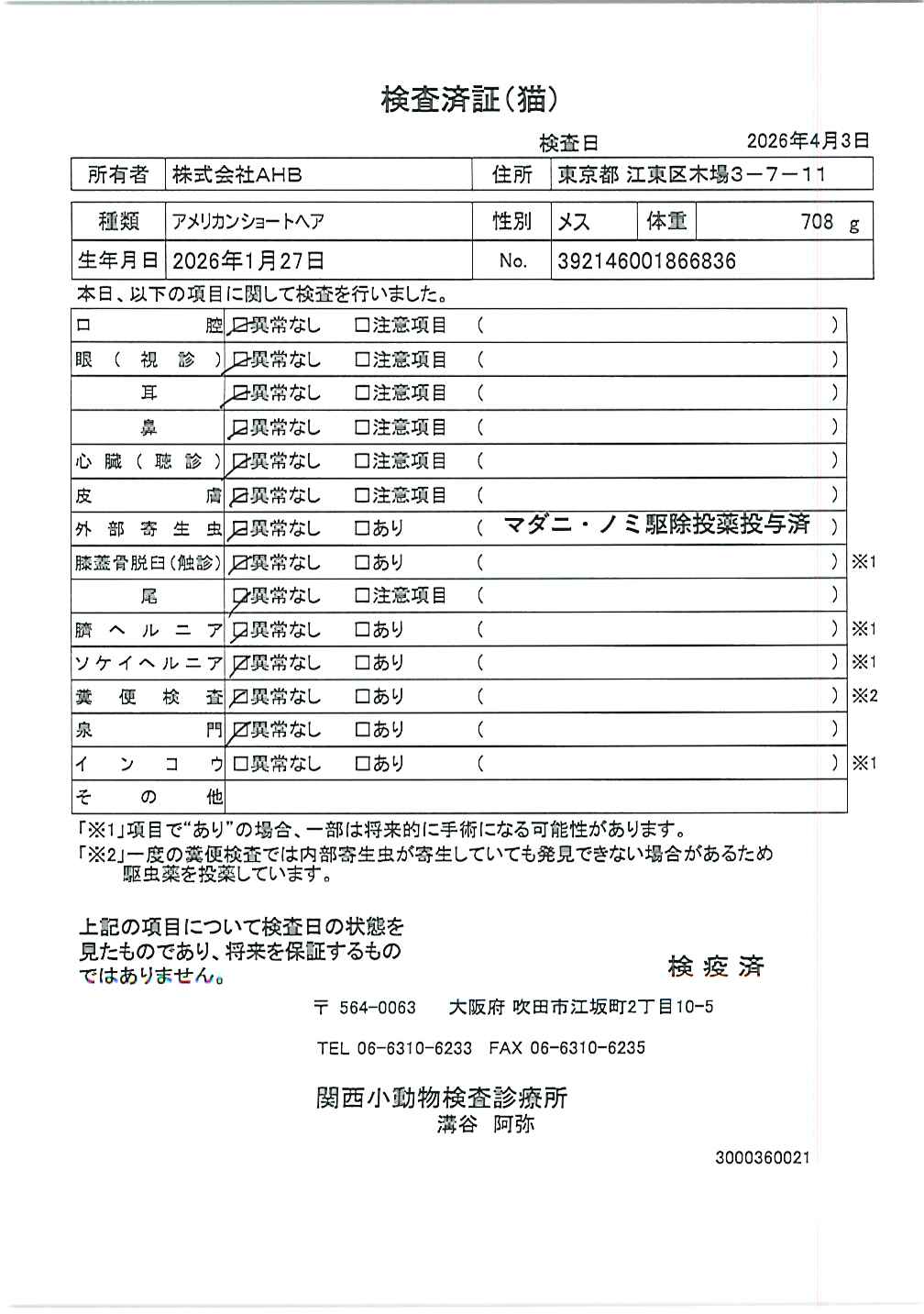 アメリカンショートヘア