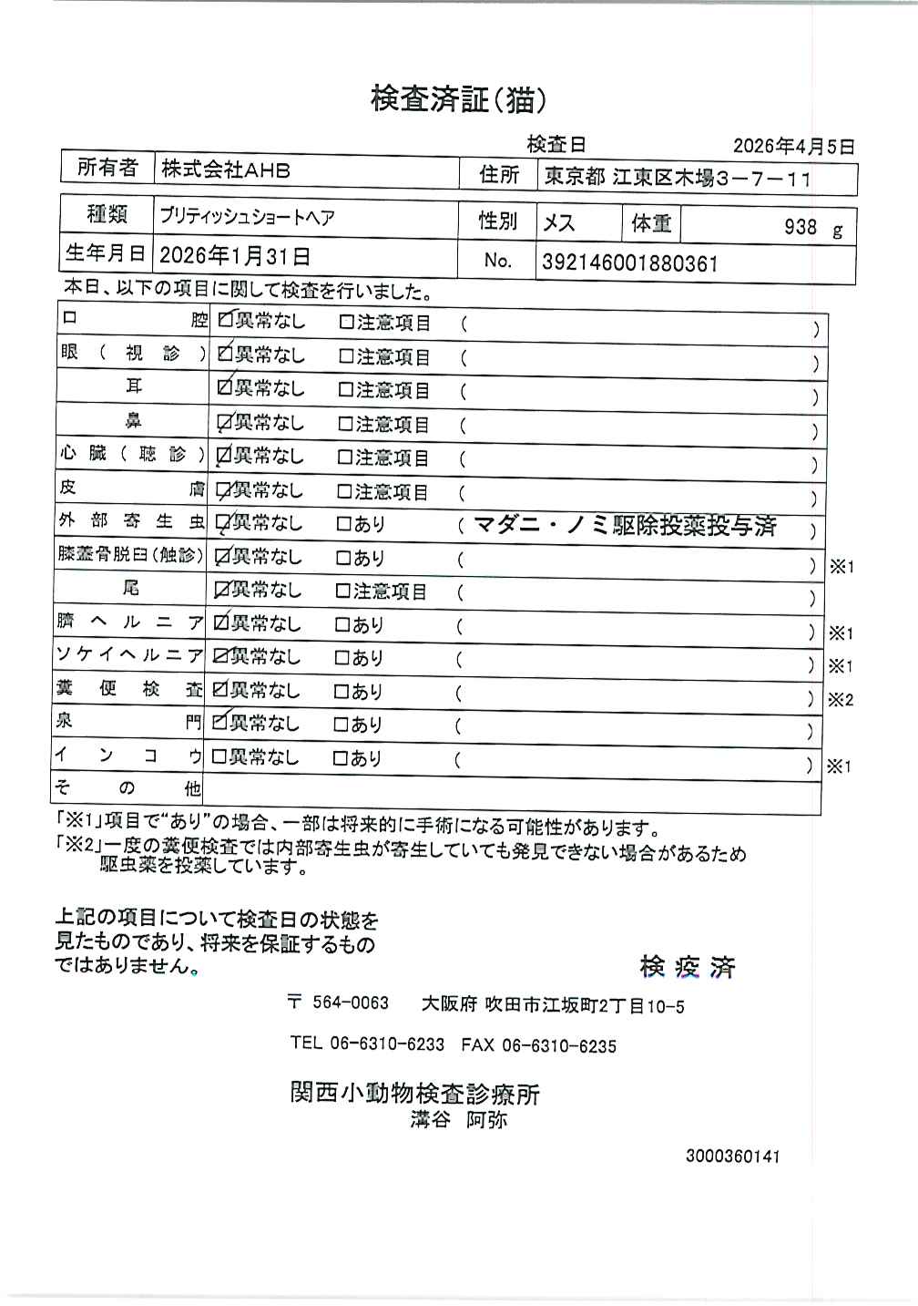 ブリティッシュショートヘア
