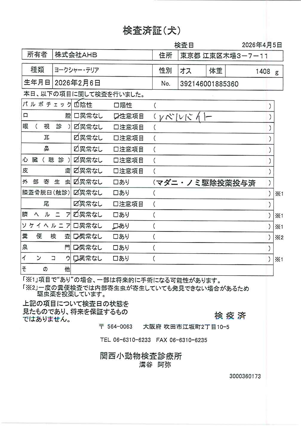 ヨークシャー・テリア