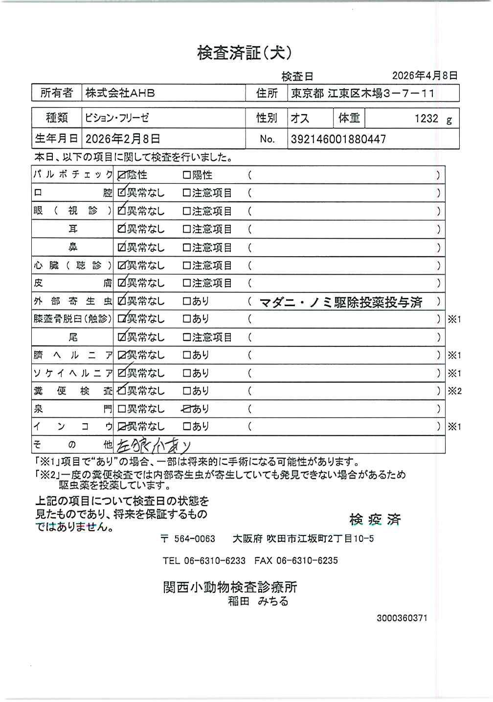 ビション・フリーゼ