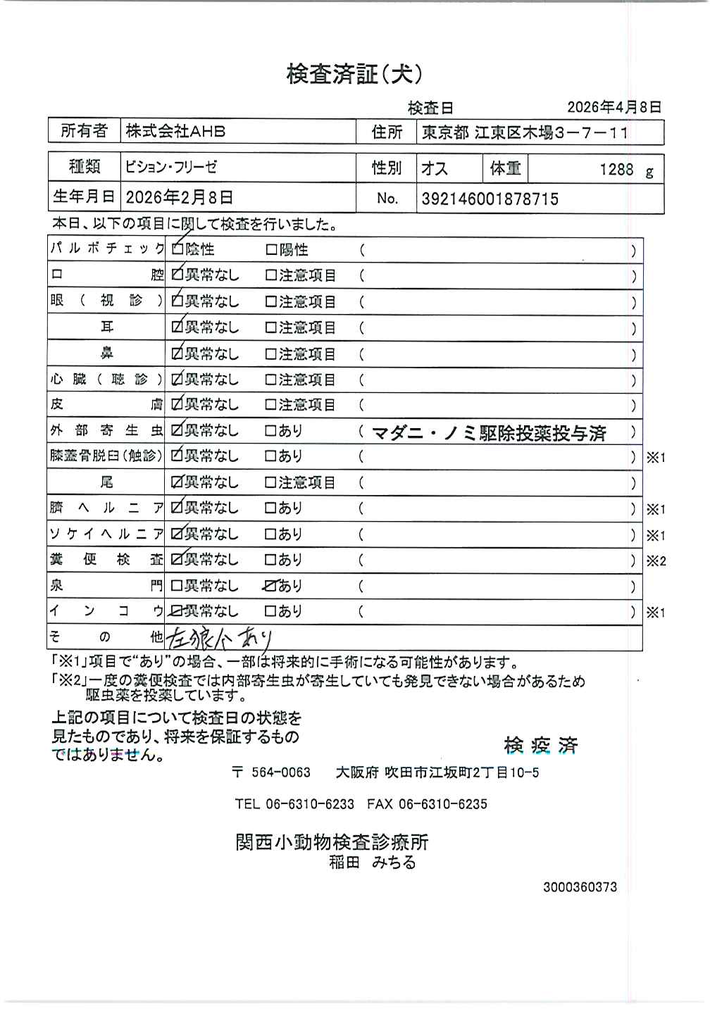 ビション・フリーゼ