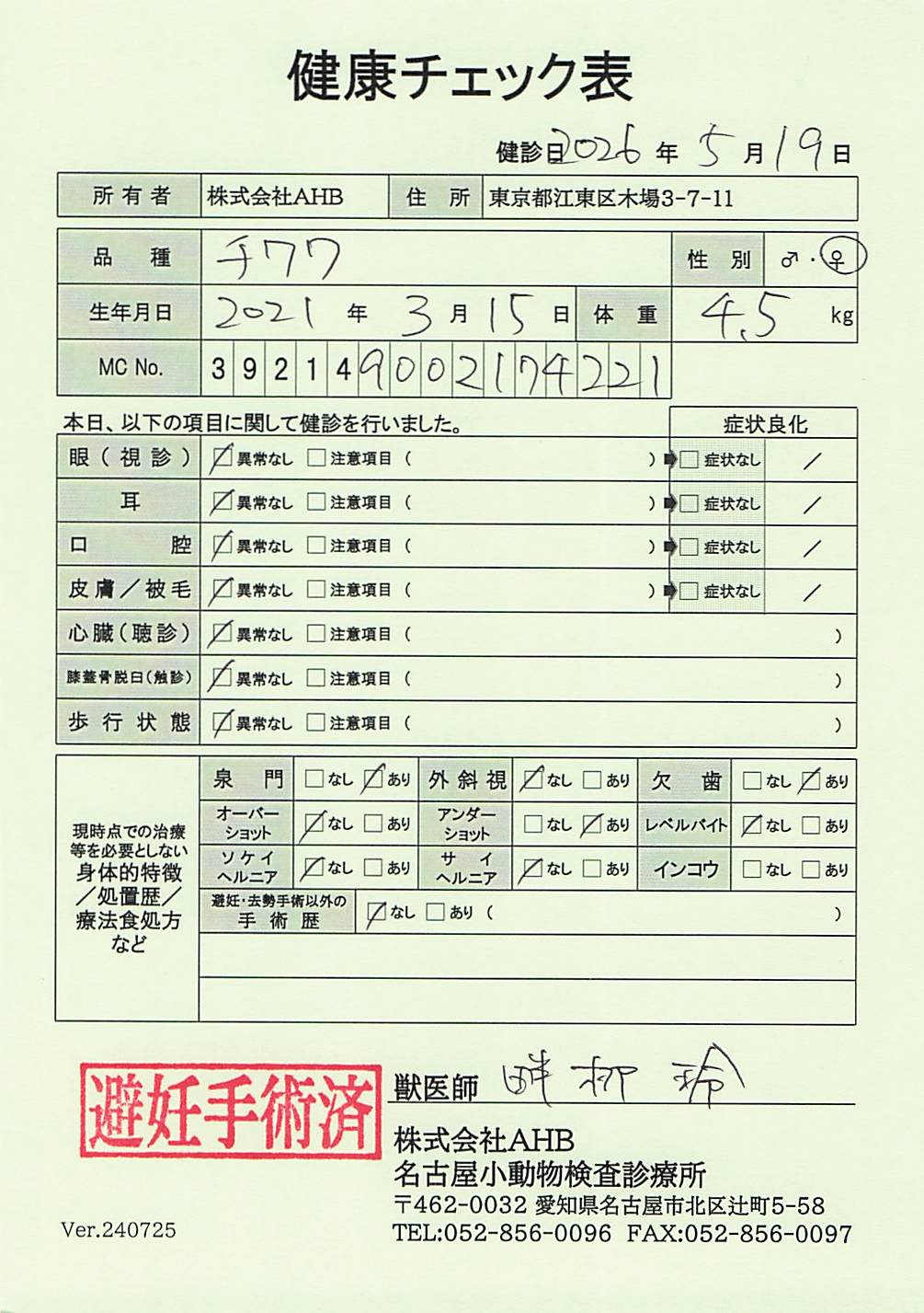 チワワ