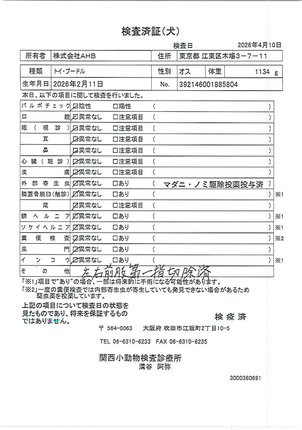 トイ・プードル