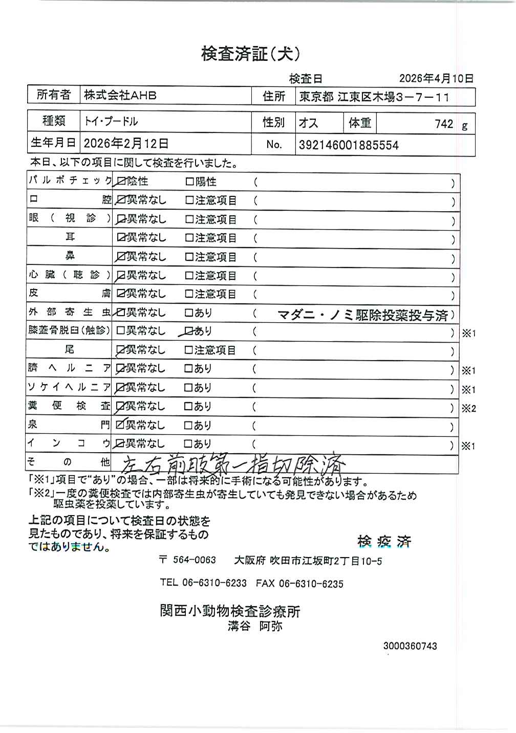 トイ・プードル