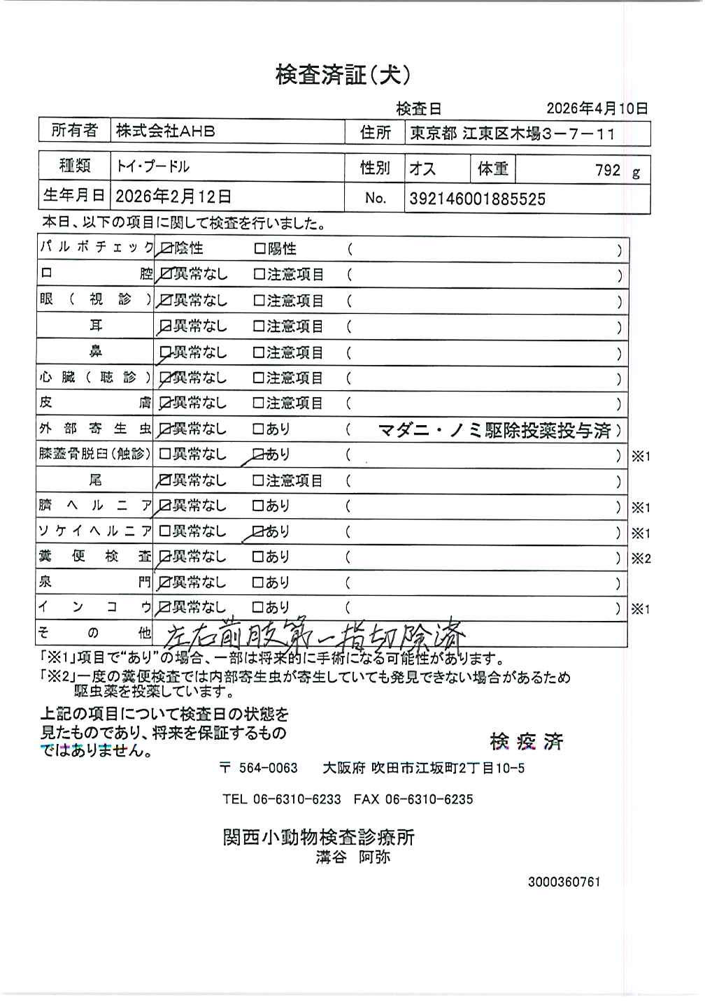 トイ・プードル