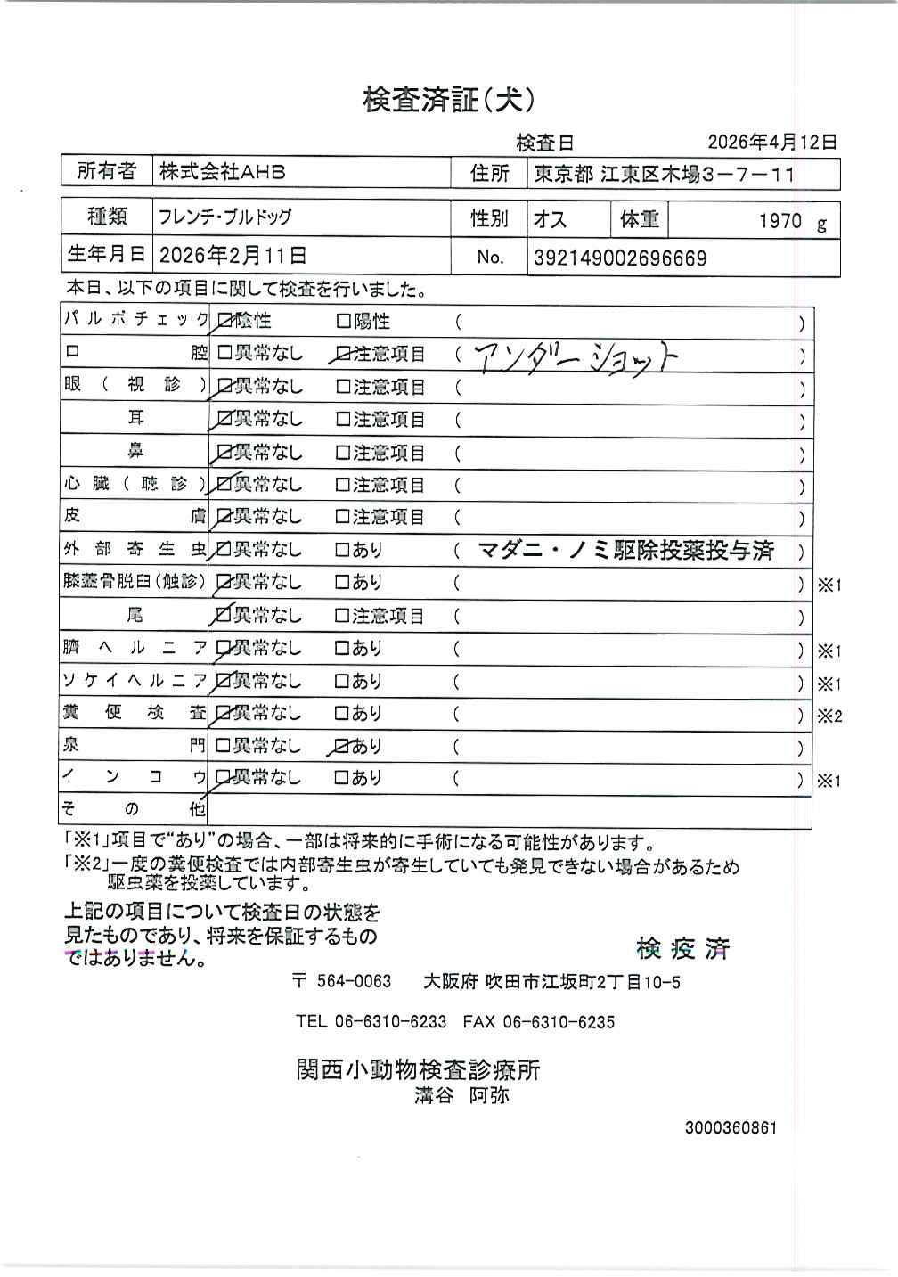フレンチ・ブルドッグ