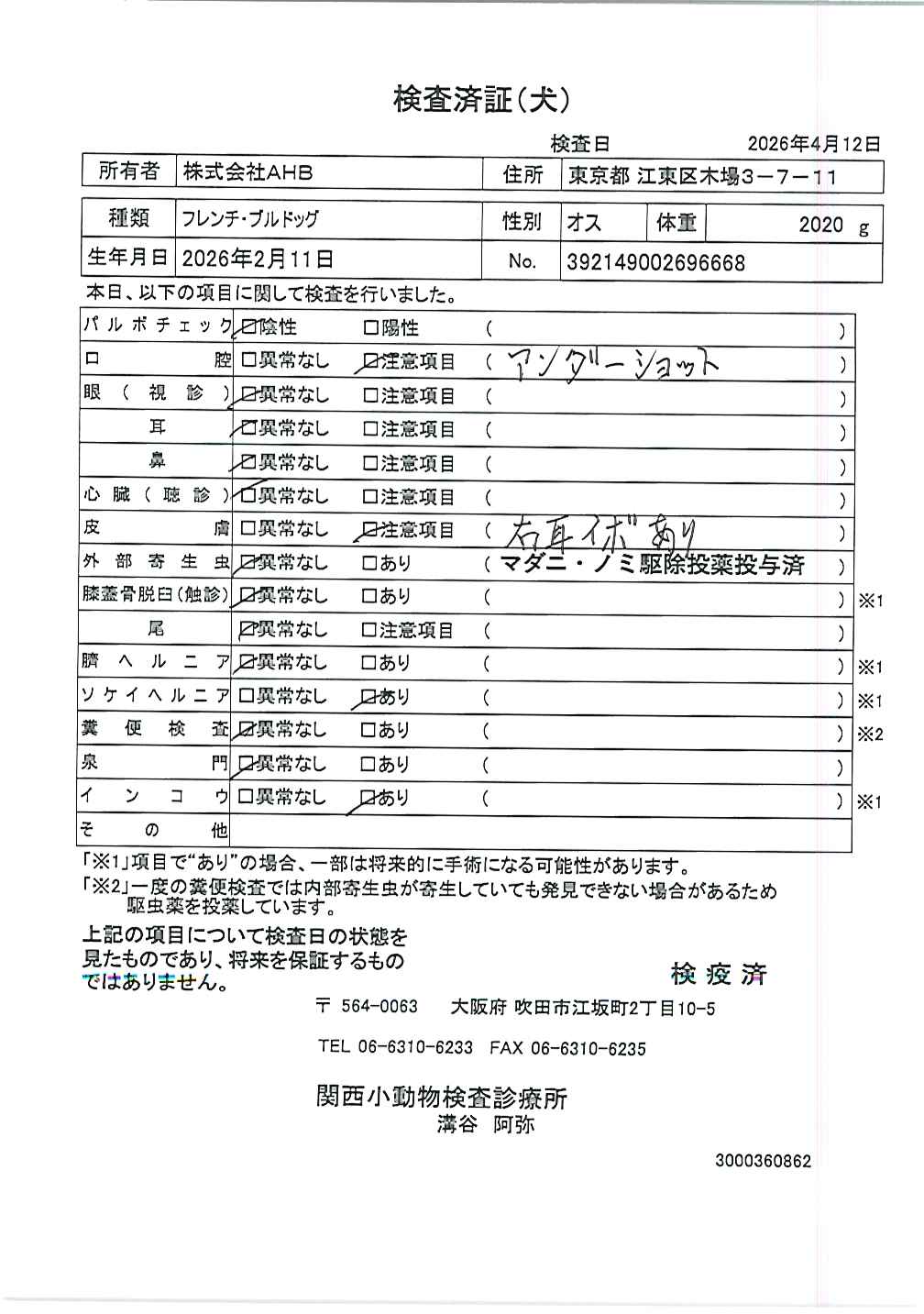 フレンチ・ブルドッグ