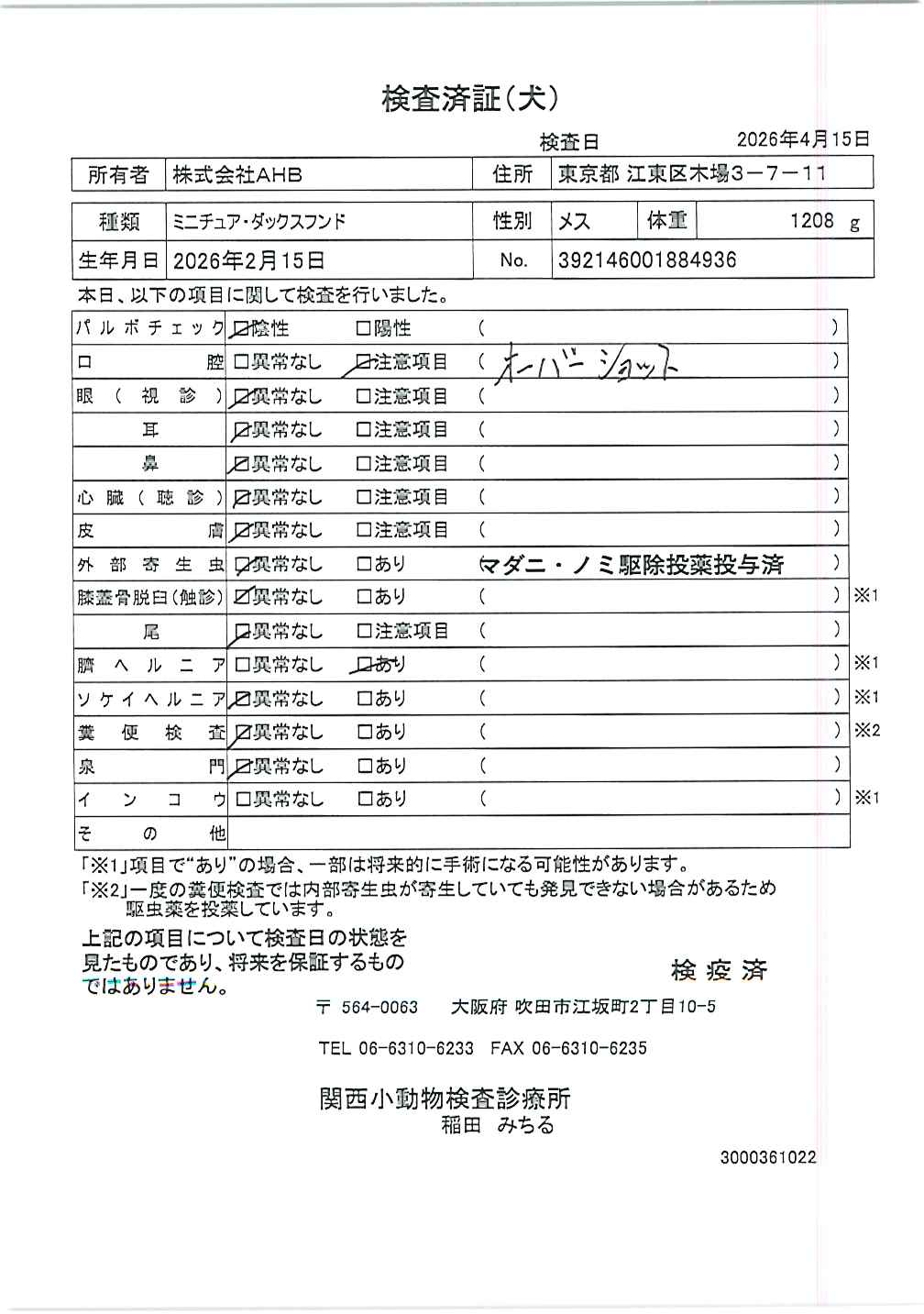 ミニチュア・ダックスフンド