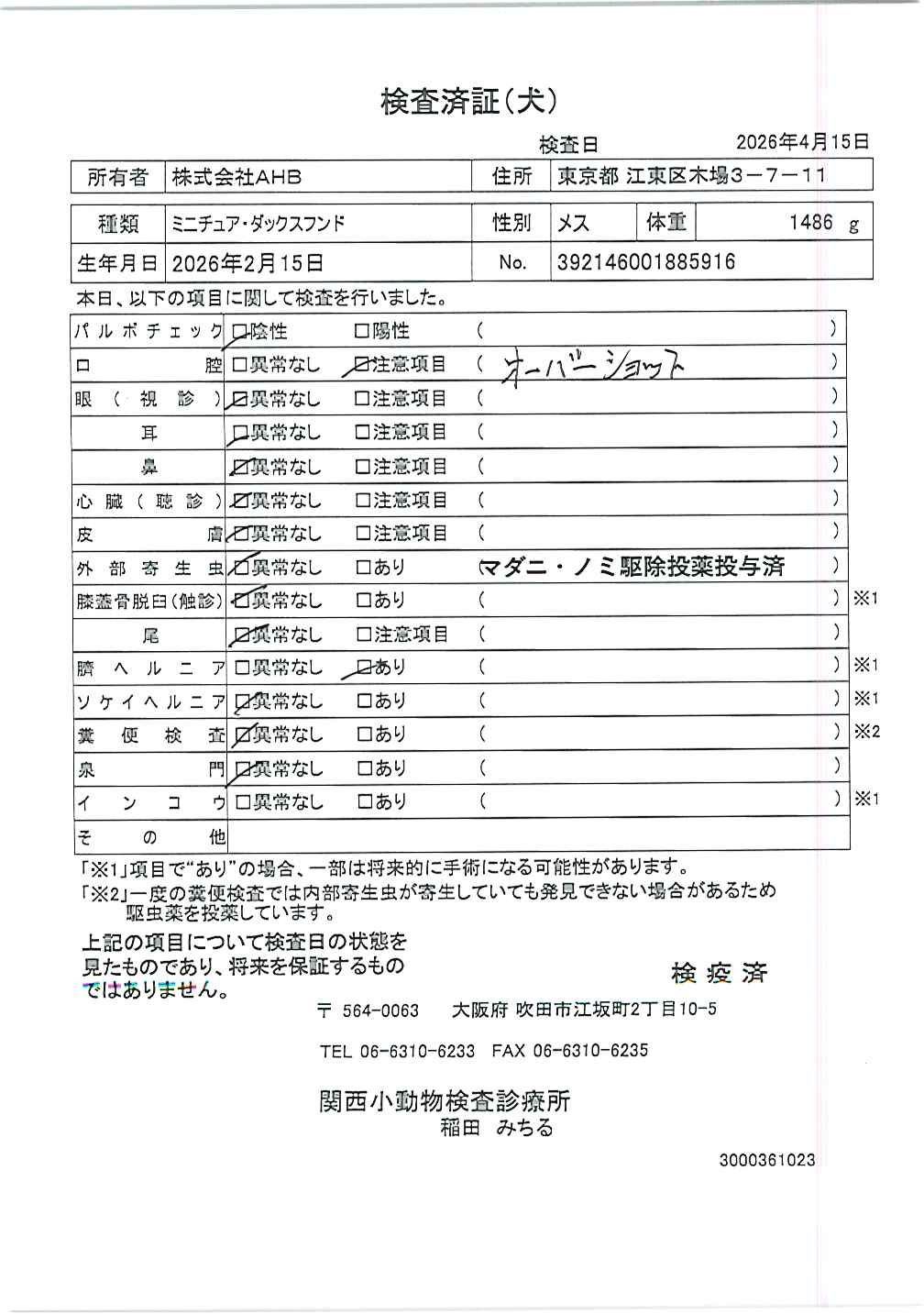 ミニチュア・ダックスフンド