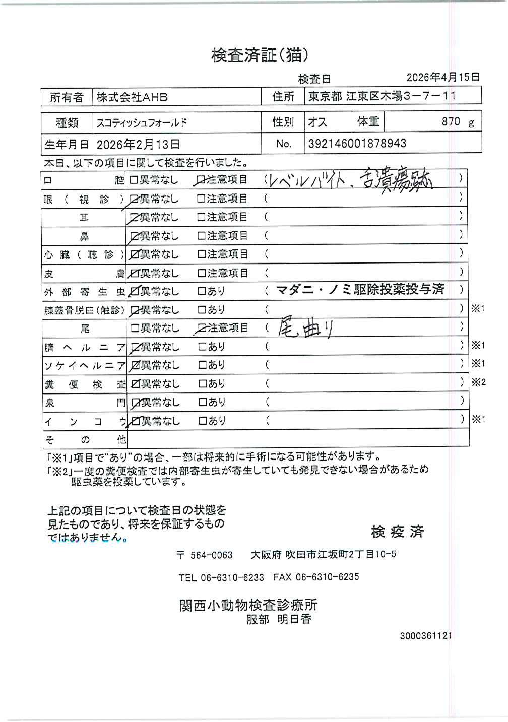 スコティッシュフォールド