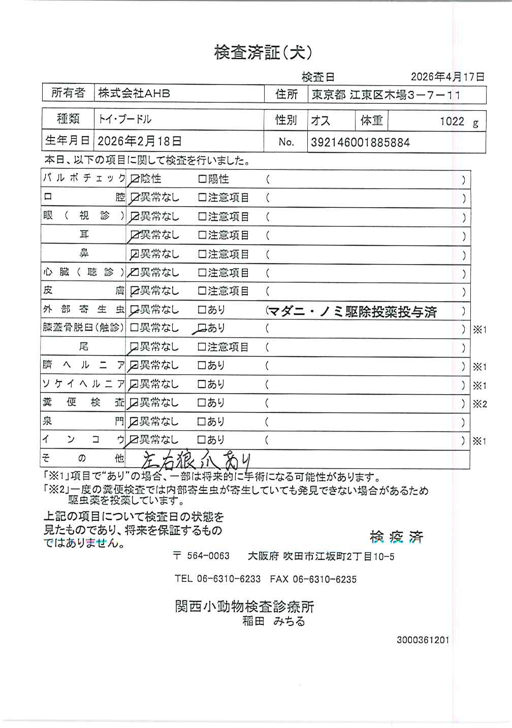 トイ・プードル