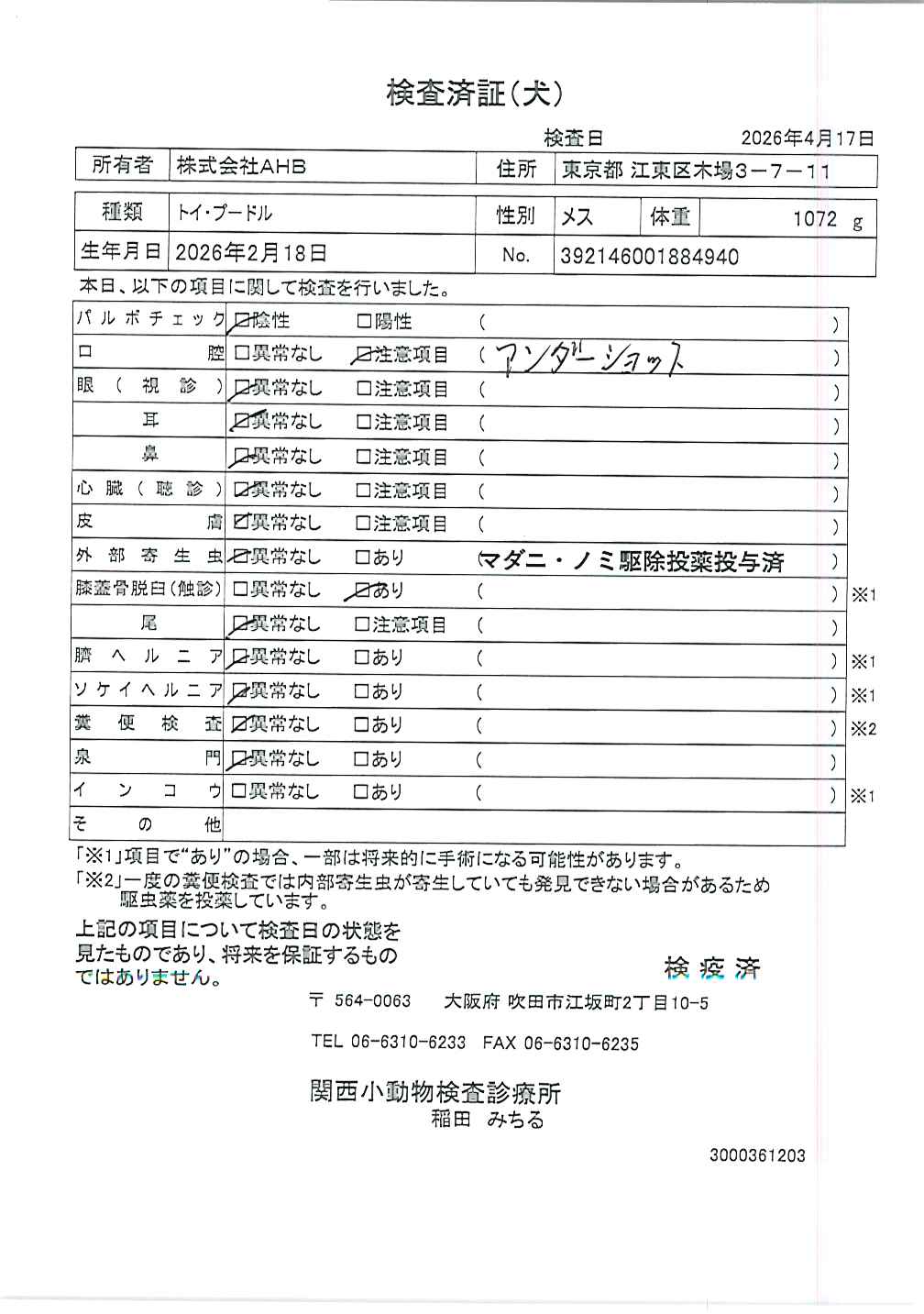 トイ・プードル