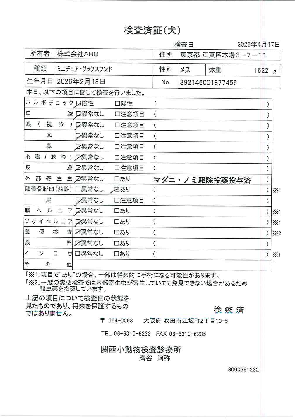 ミニチュア・ダックスフンド