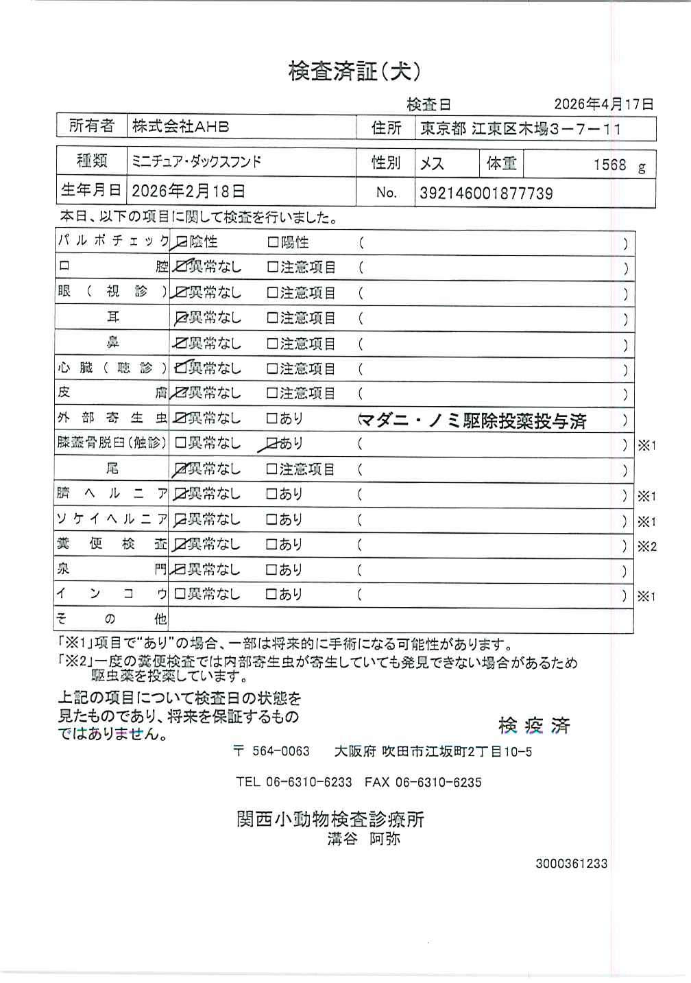 ミニチュア・ダックスフンド