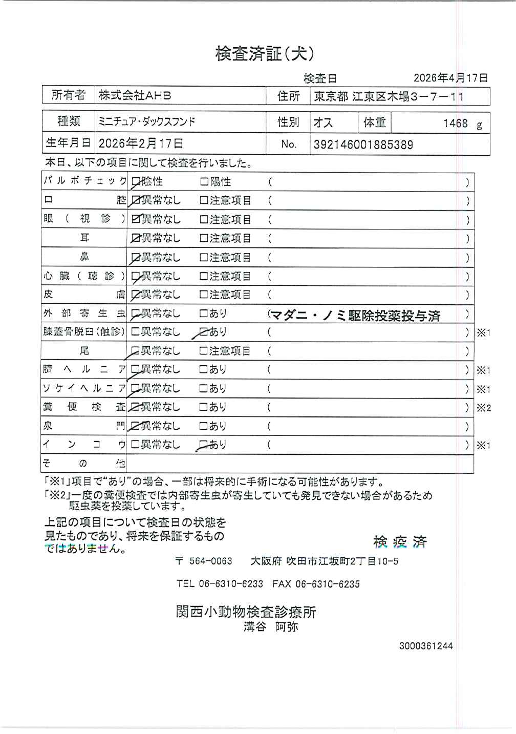 ミニチュア・ダックスフンド