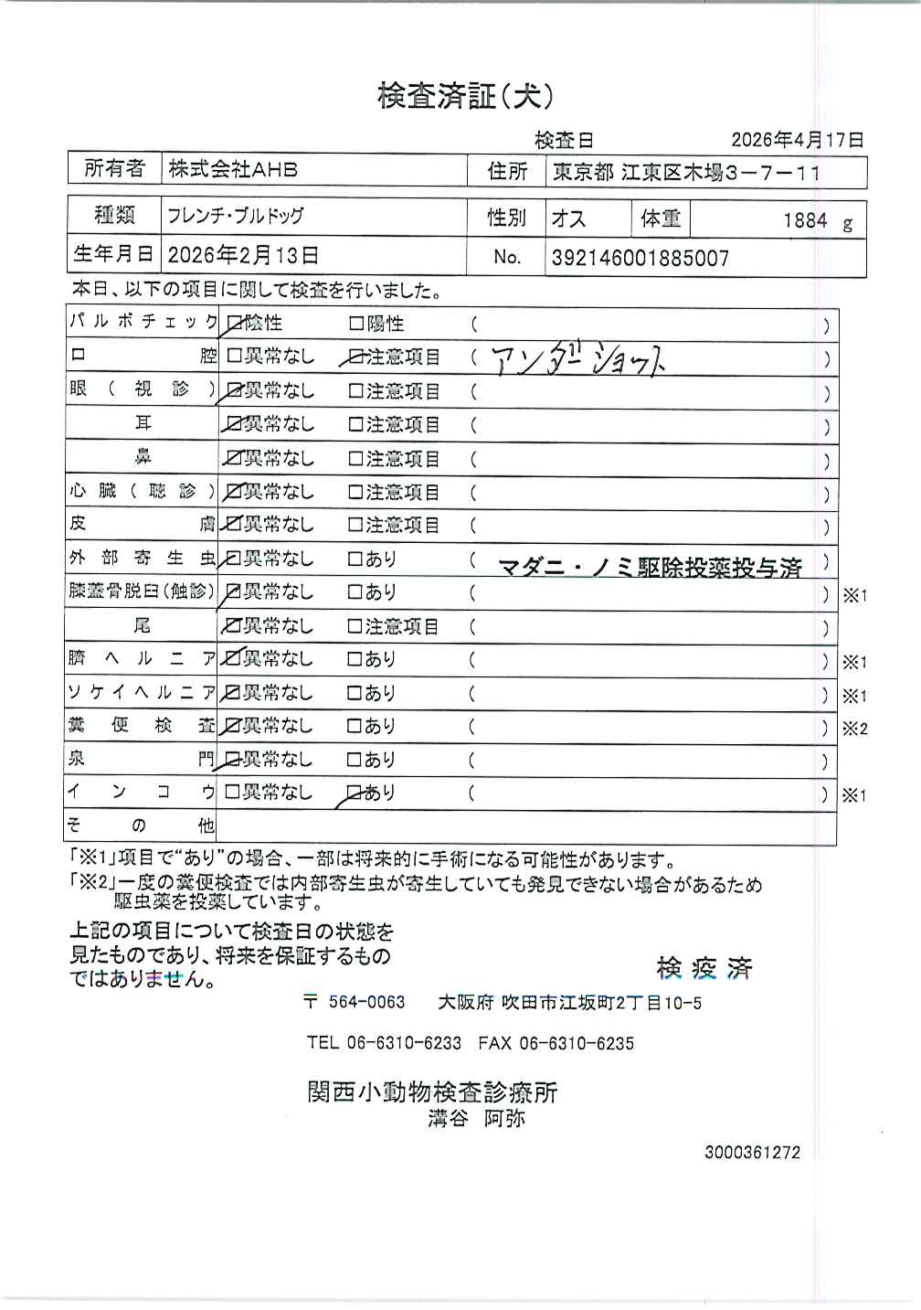 フレンチ・ブルドッグ