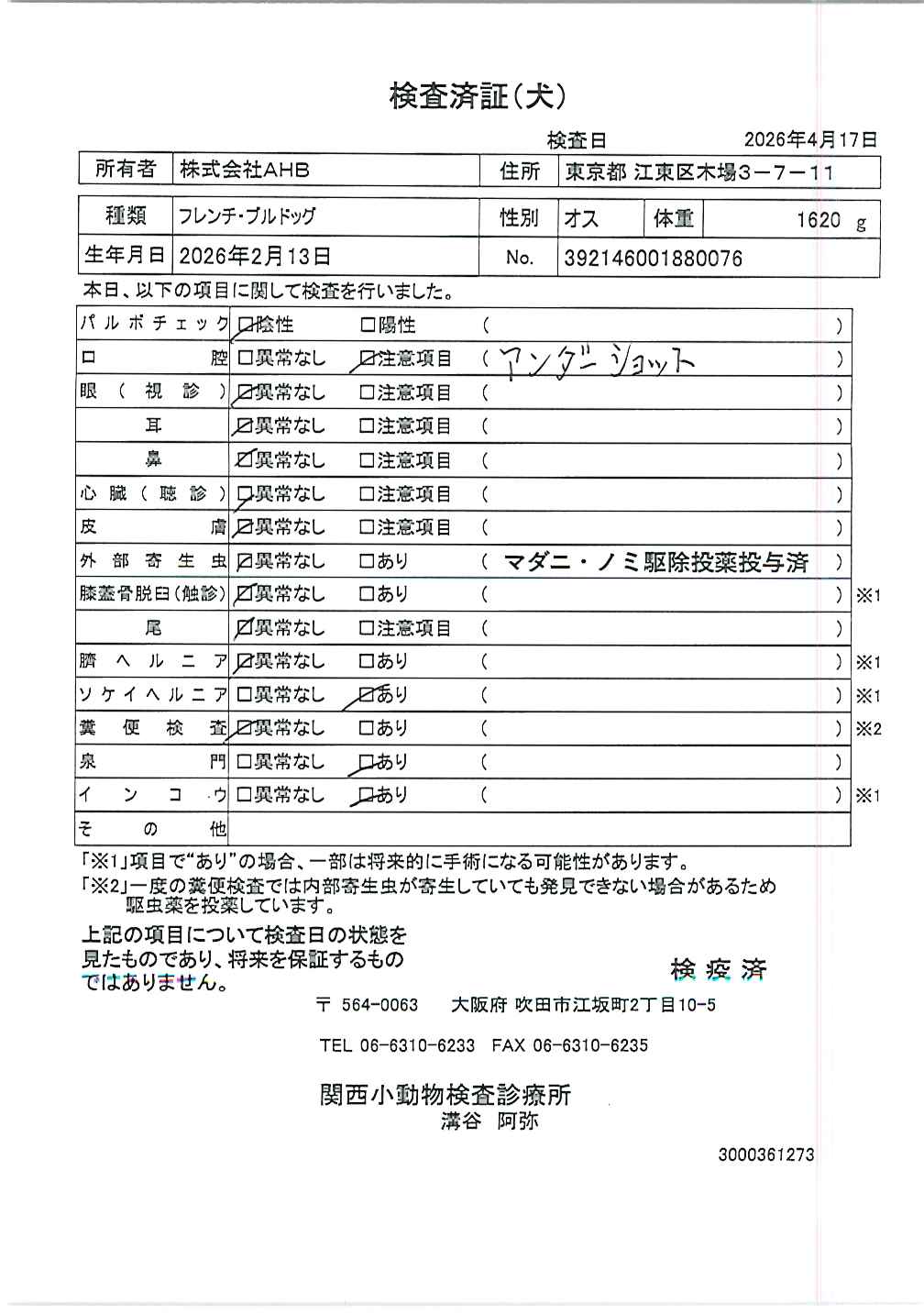 フレンチ・ブルドッグ