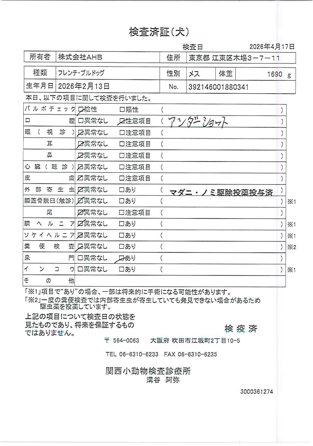 フレンチ・ブルドッグ