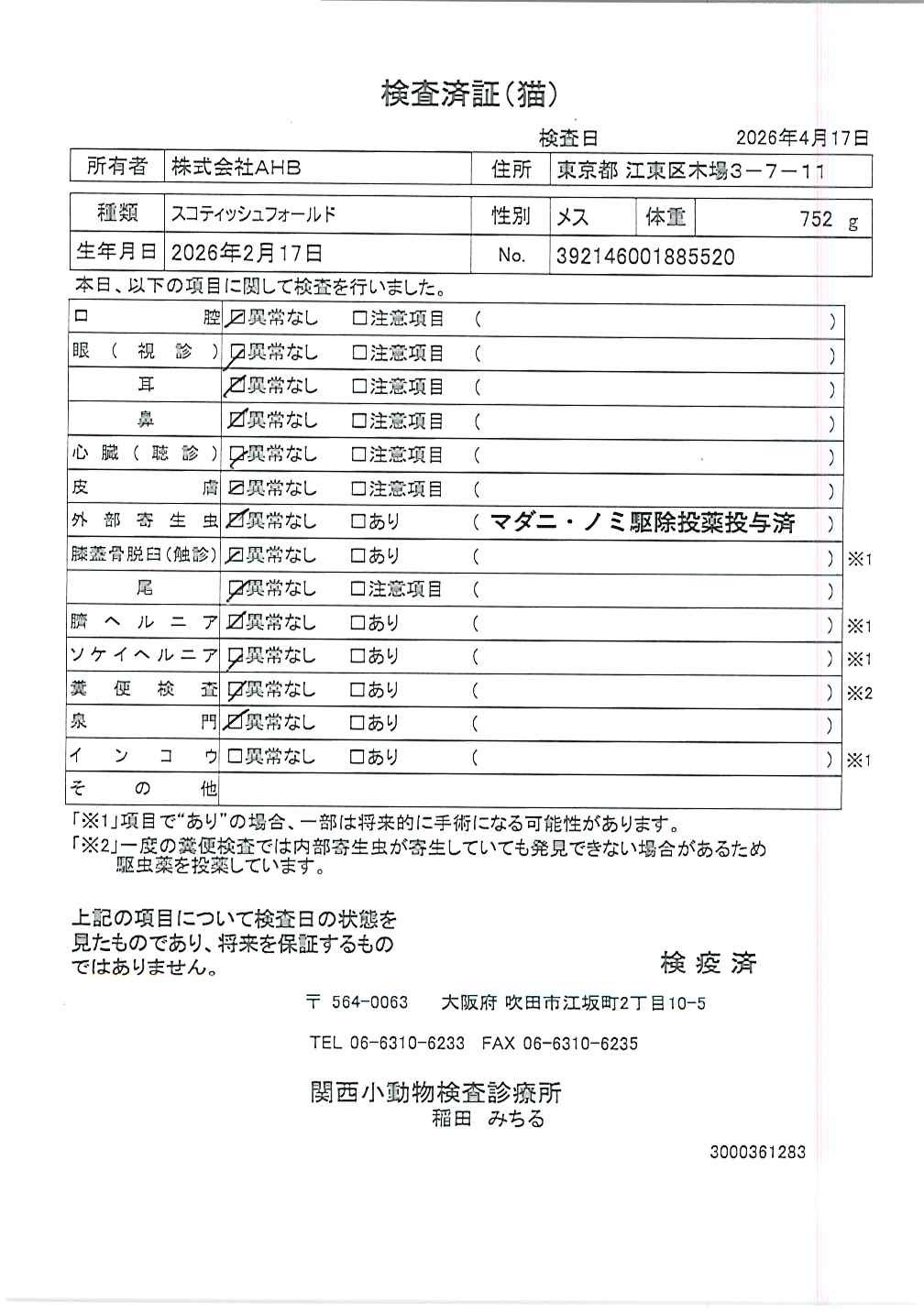 スコティッシュフォールド