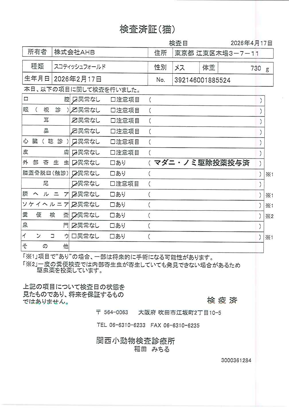 スコティッシュフォールド