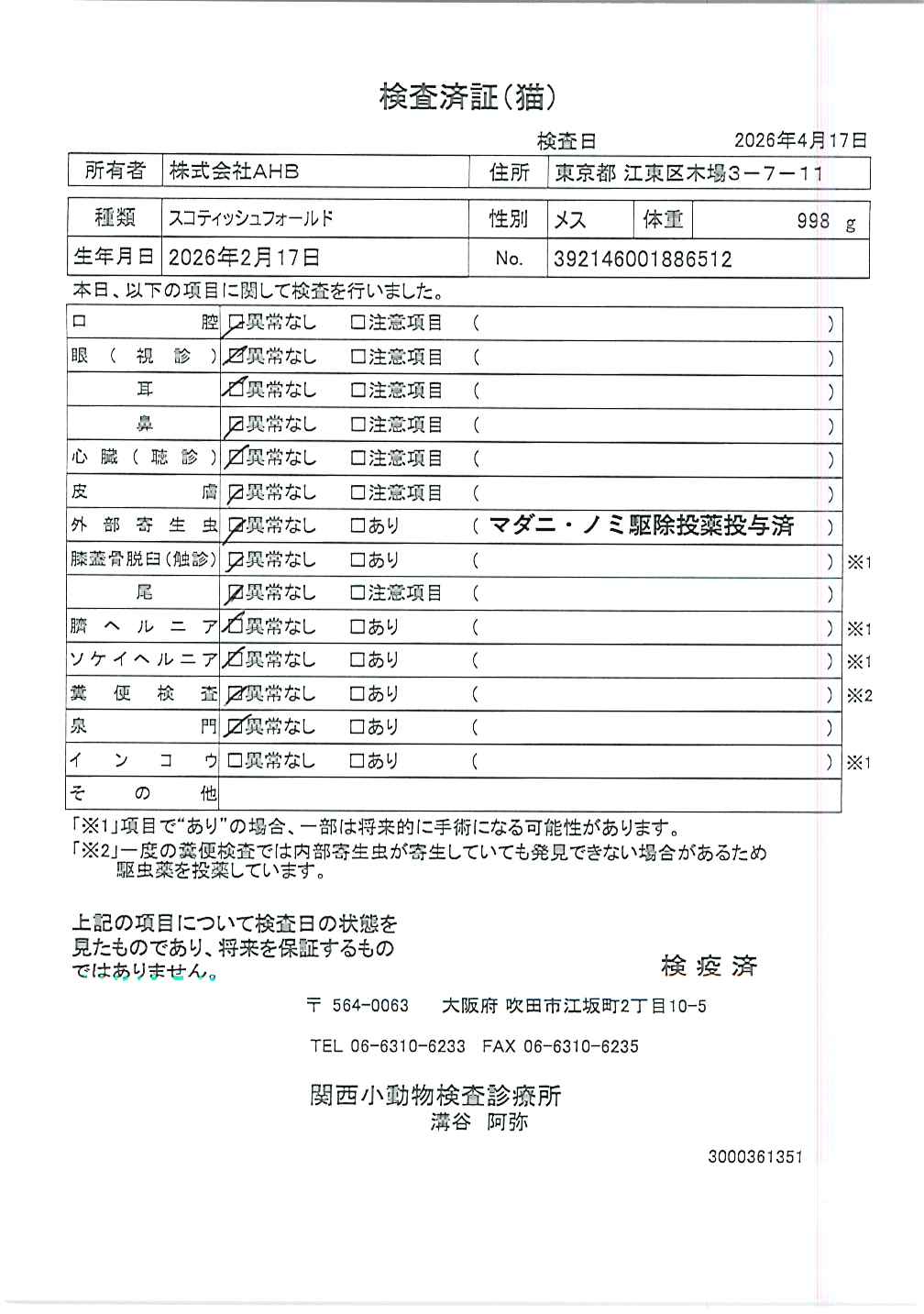 スコティッシュフォールド