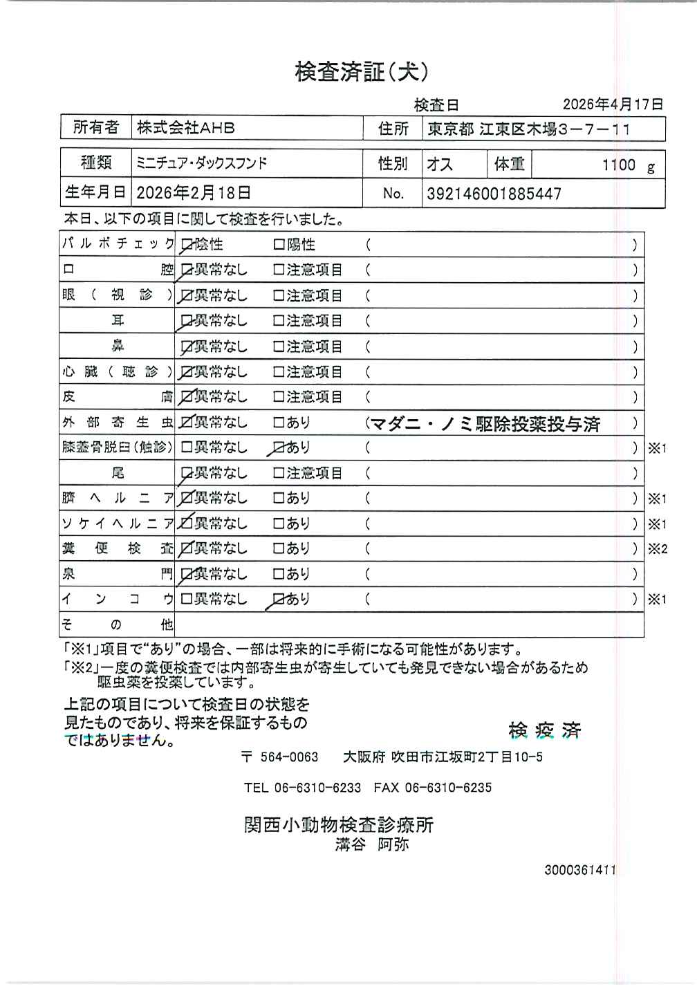 ミニチュア・ダックスフンド