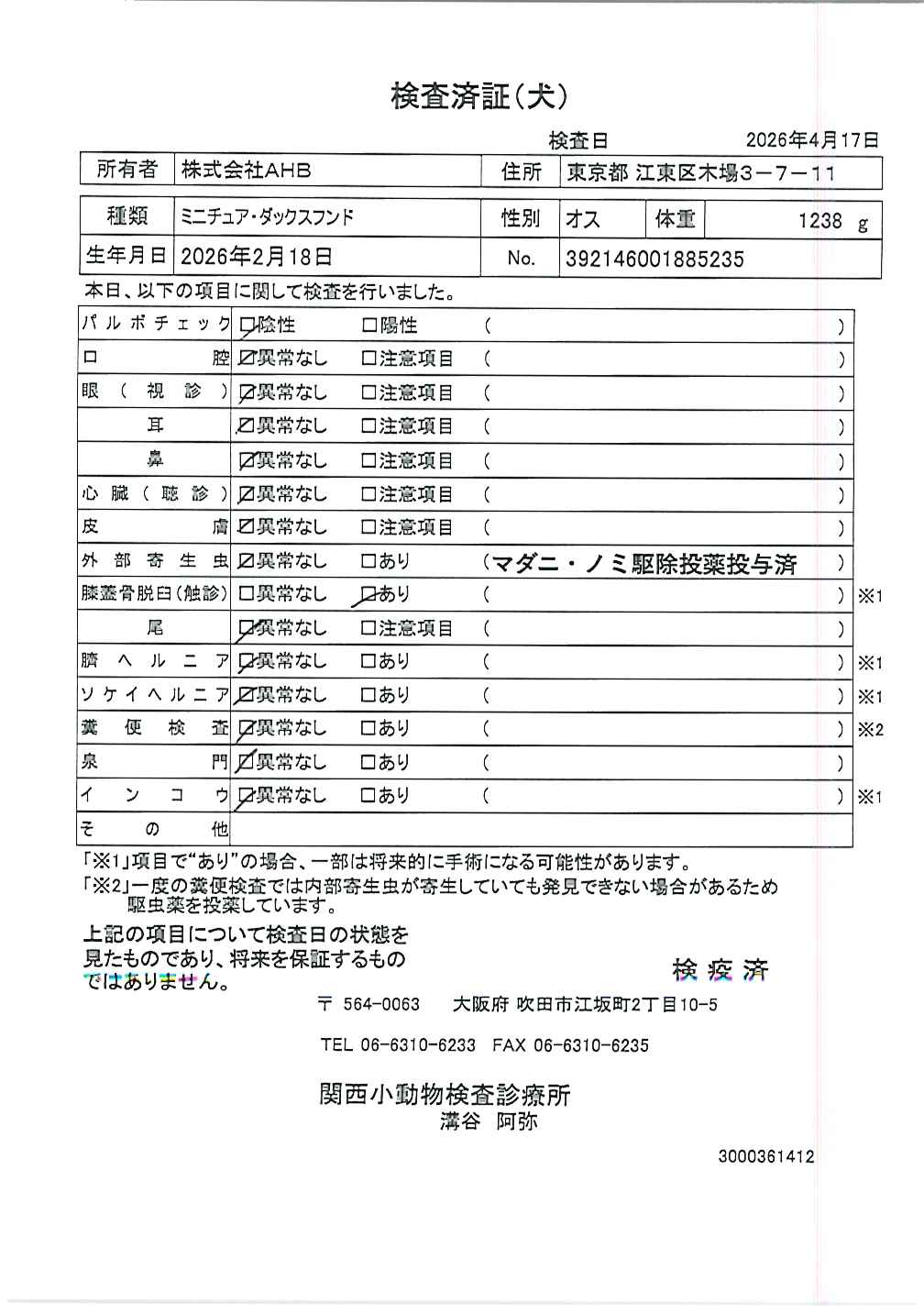 ミニチュア・ダックスフンド