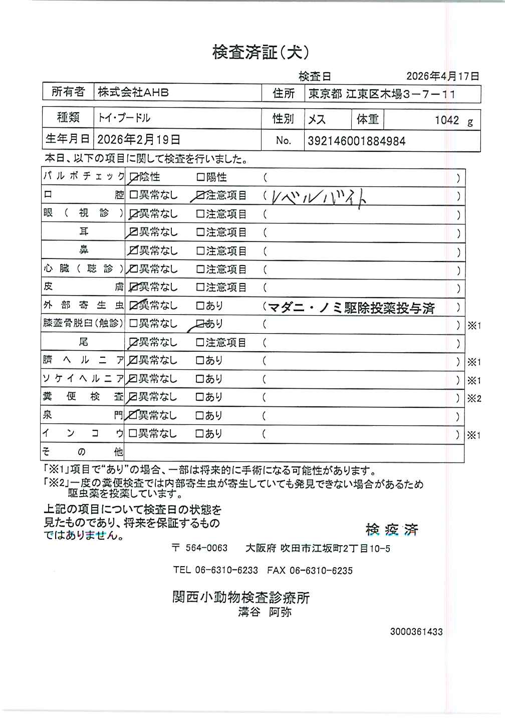 トイ・プードル