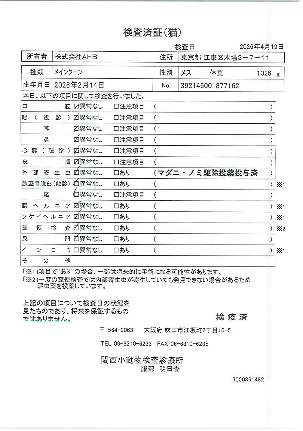 メインクーン