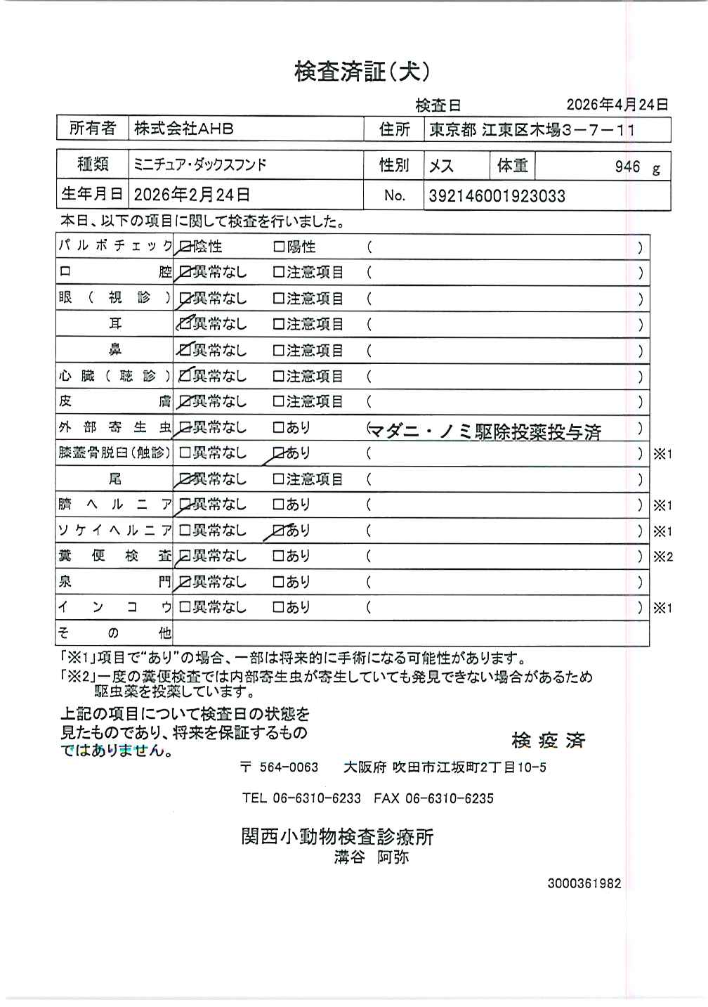 ミニチュア・ダックスフンド