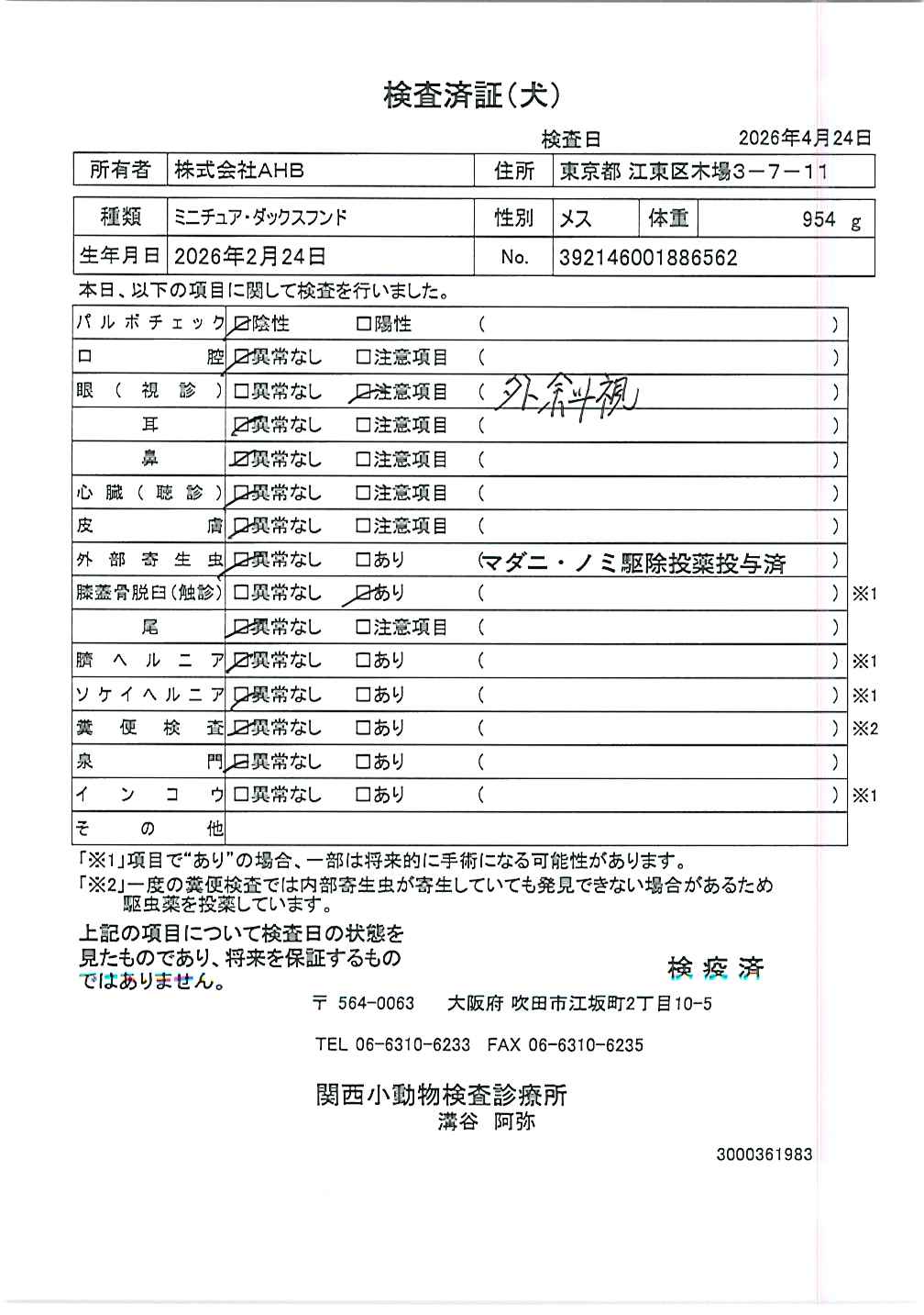 ミニチュア・ダックスフンド