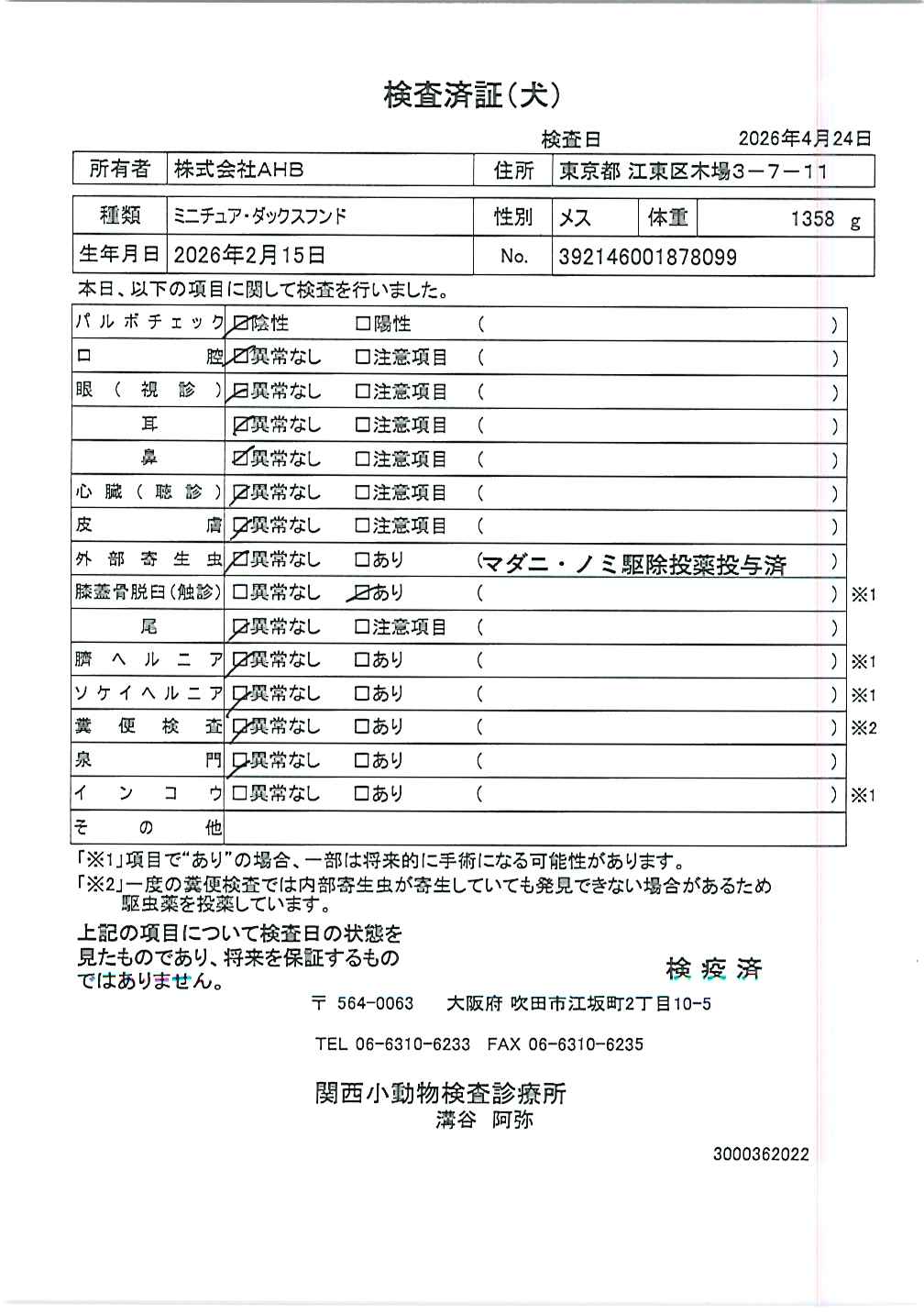 ミニチュア・ダックスフンド