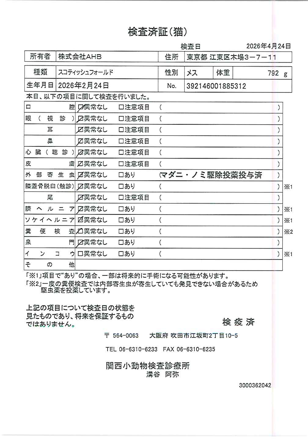 スコティッシュフォールド