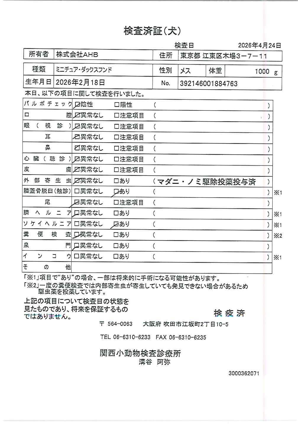 ミニチュア・ダックスフンド