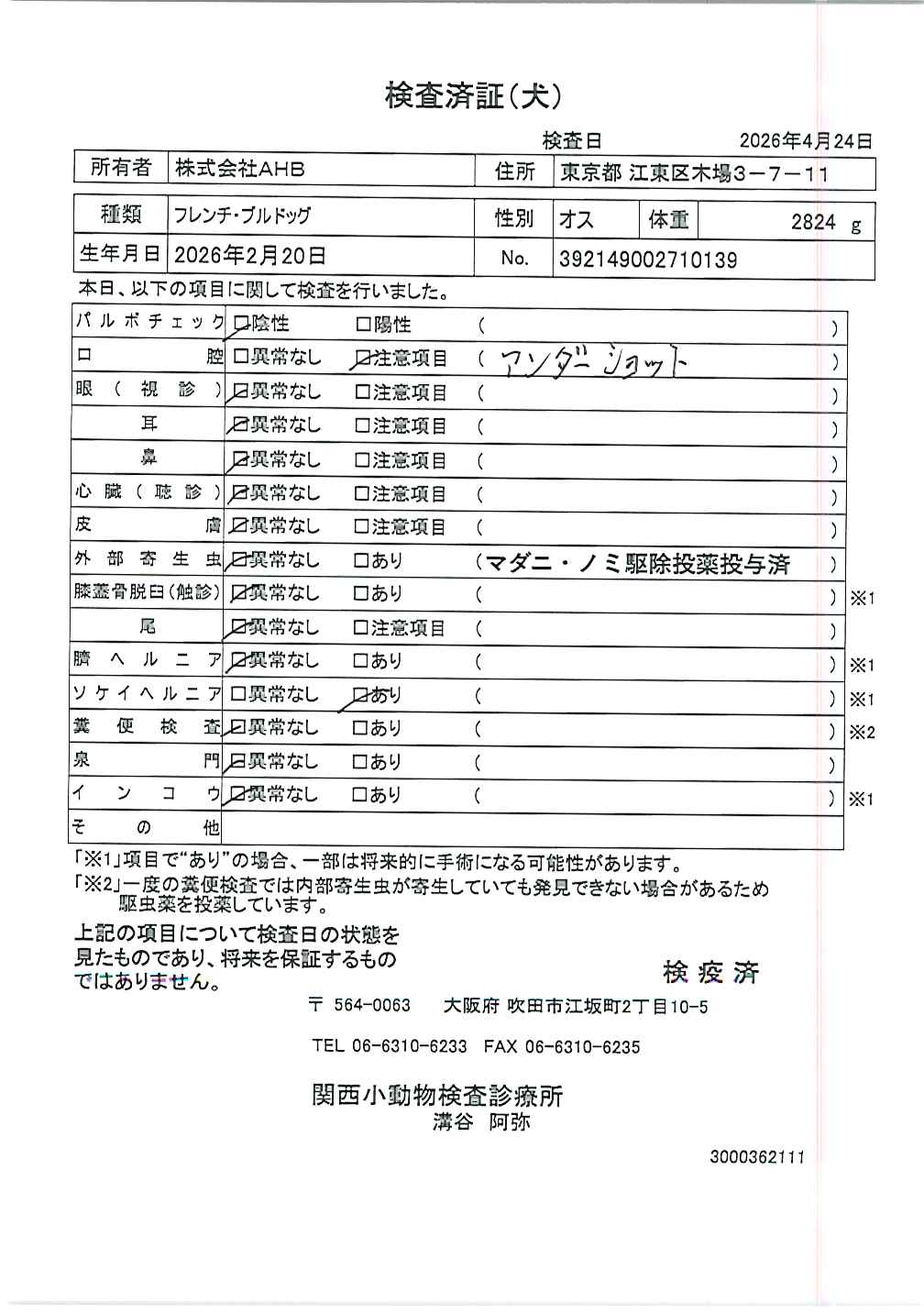 フレンチ・ブルドッグ