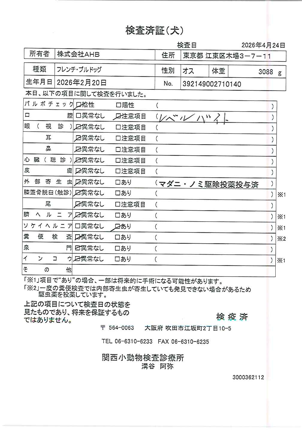 フレンチ・ブルドッグ