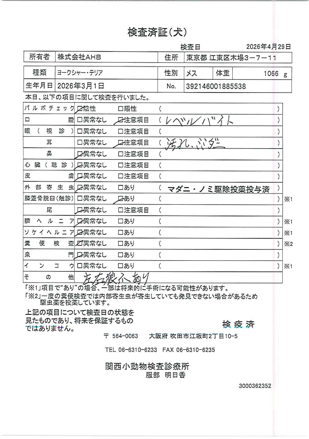 ヨークシャー・テリア