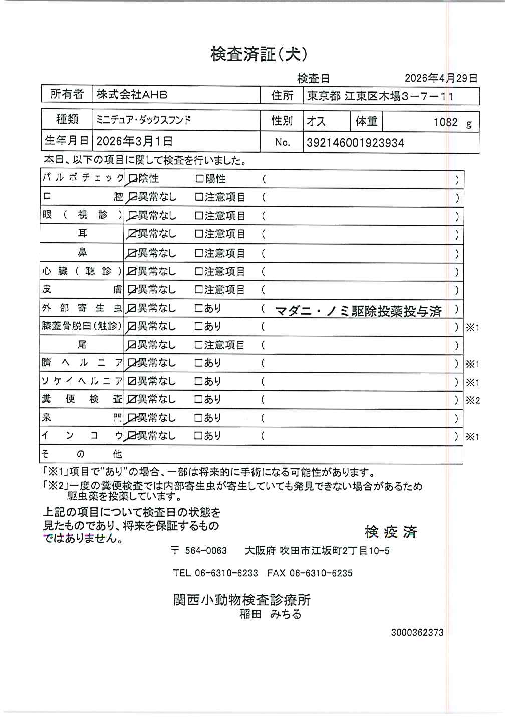 ミニチュア・ダックスフンド