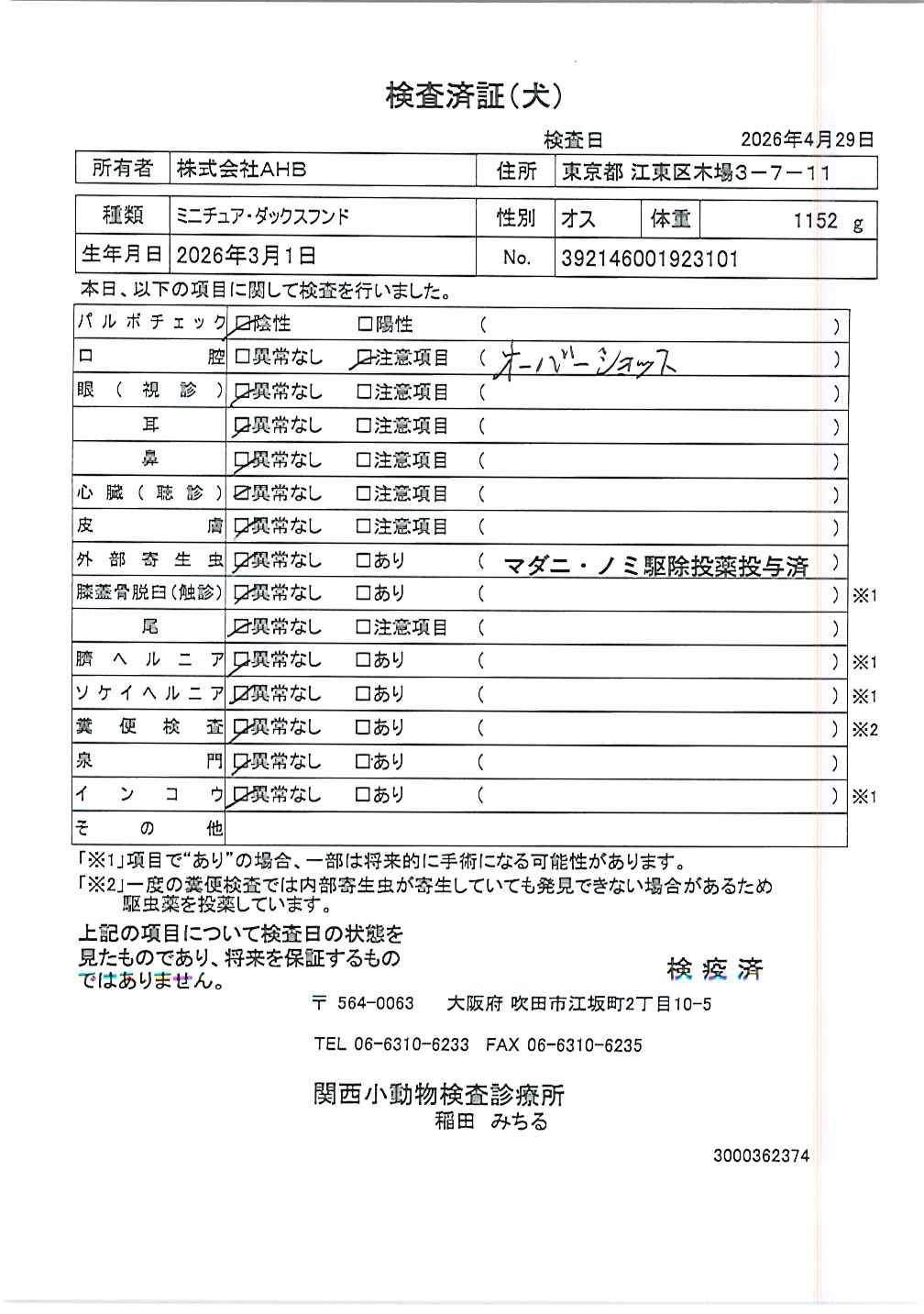 ミニチュア・ダックスフンド