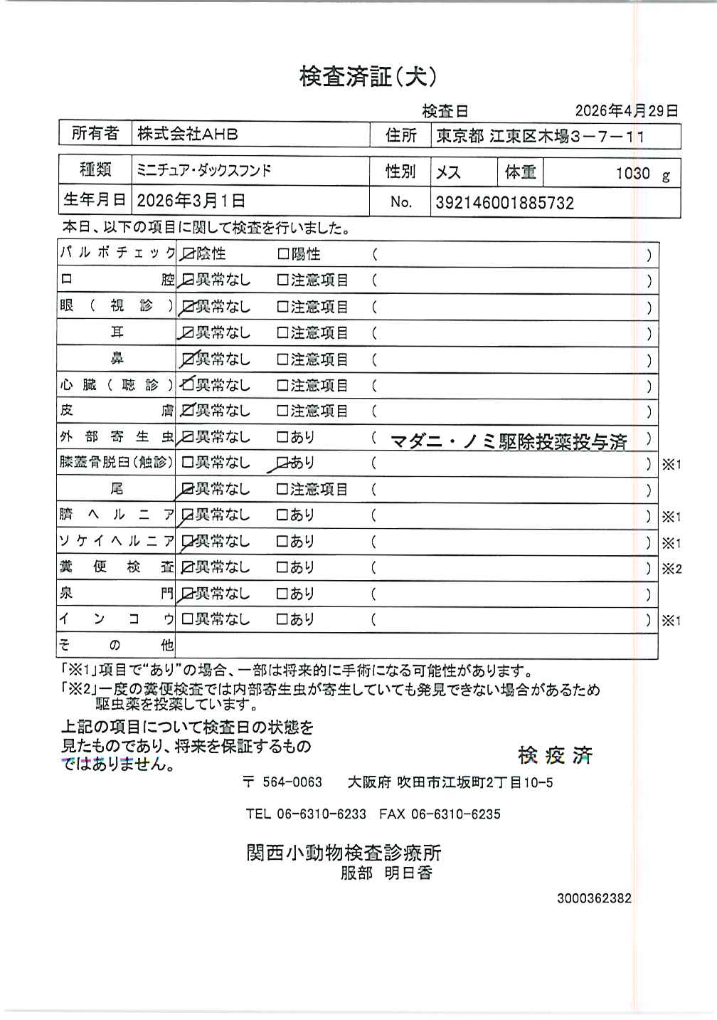 ミニチュア・ダックスフンド