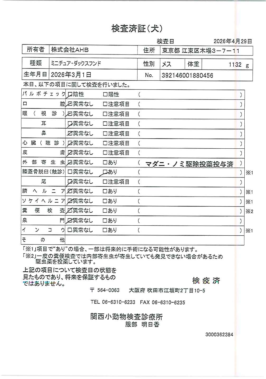 ミニチュア・ダックスフンド