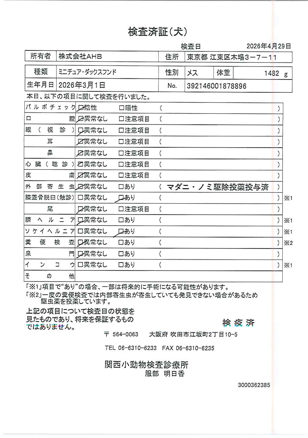 ミニチュア・ダックスフンド