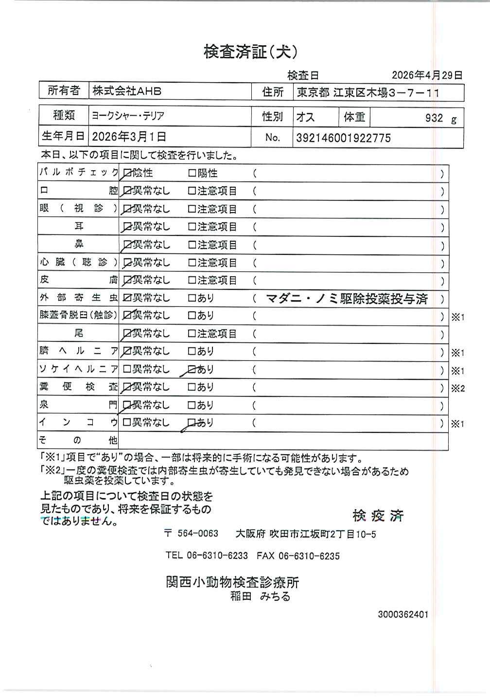 ヨークシャー・テリア