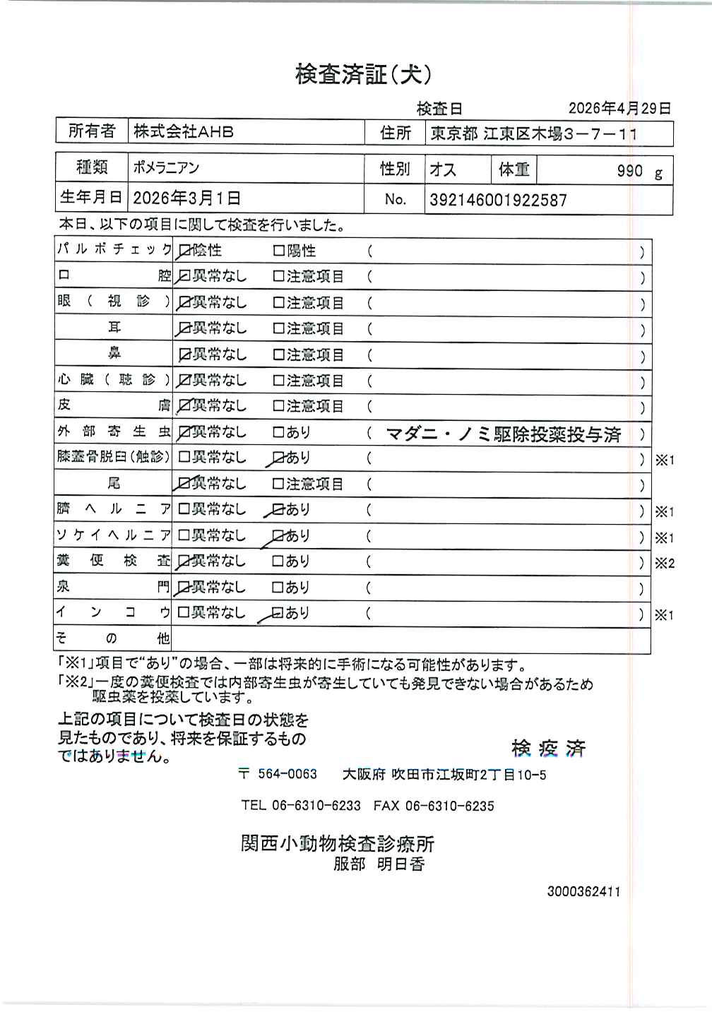 ポメラニアン